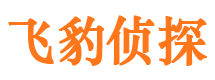 大厂侦探公司